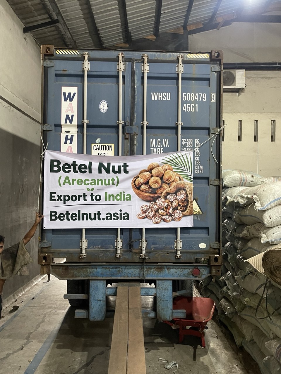 Betelnut Arecanut Export To India