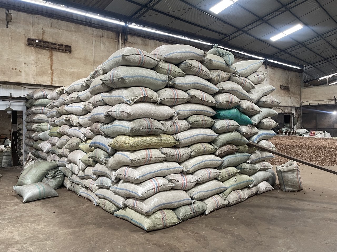 Betelnut Warehouse