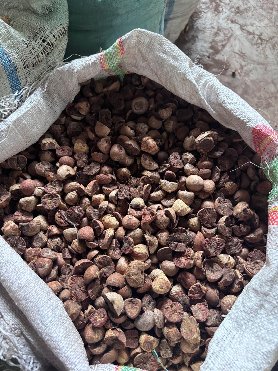 Split Betelnut 60 65