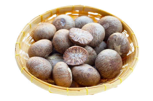 Betel Nut Export from Indonesia: Market Insights, Data & Global Demand