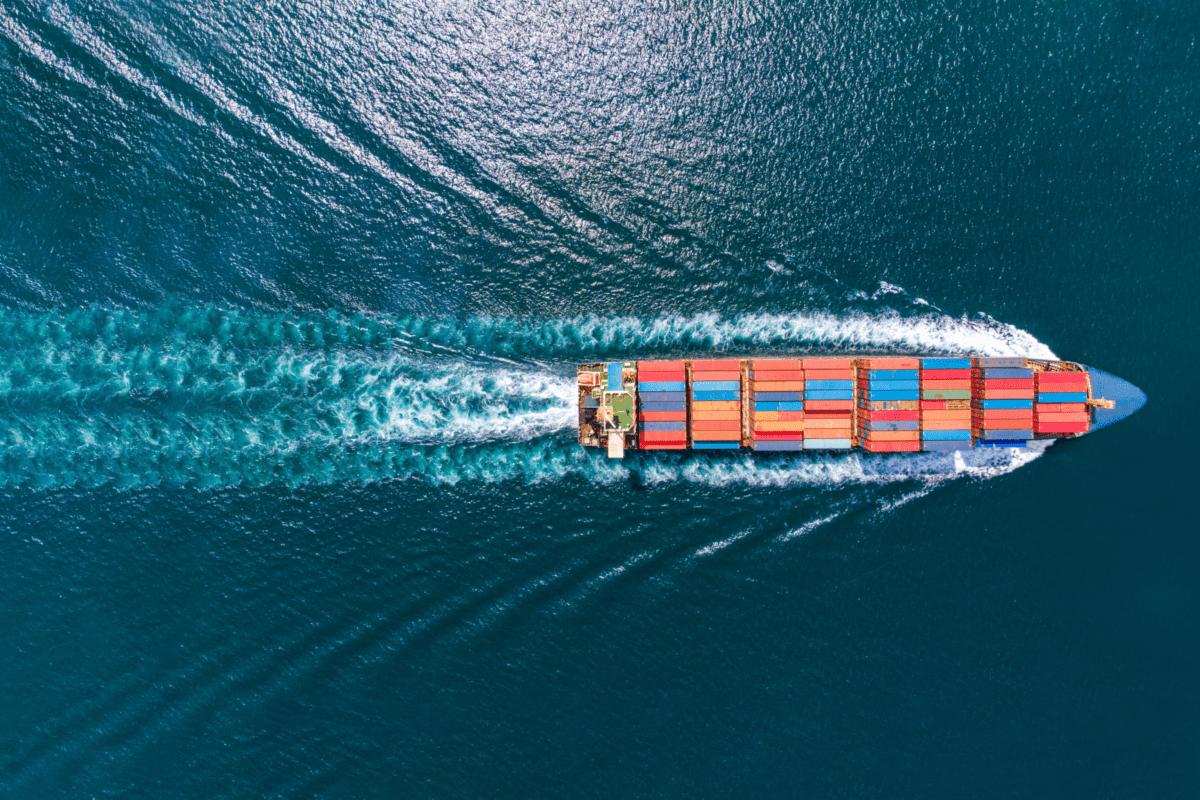 Betel Nut HS Code Export: Complete Guide for International Trade
